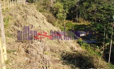 FINCA EN VENTA EN ALTO DEL NUDO/DOSQUEBRADAS