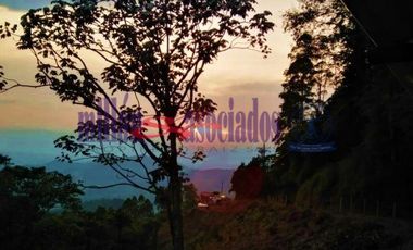 FINCA EN VENTA EN ALTO DEL NUDO/DOSQUEBRADAS