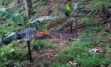 FINCA EN VENTA EN ALTO DEL NUDO/DOSQUEBRADAS