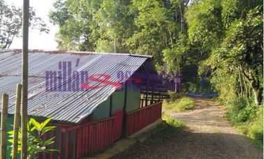 FINCA EN VENTA EN ALTO DEL NUDO/DOSQUEBRADAS