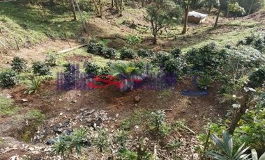 FINCA EN VENTA EN ALTO DEL NUDO/DOSQUEBRADAS