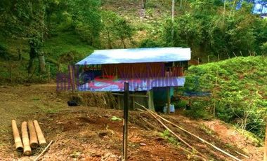 FINCA EN VENTA EN ALTO DEL NUDO/DOSQUEBRADAS
