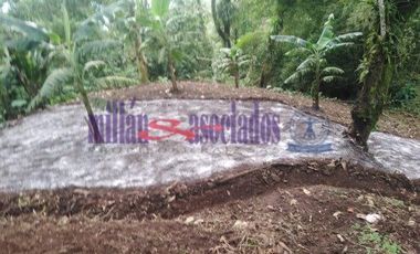 FINCA EN VENTA EN ALTO DEL NUDO/DOSQUEBRADAS