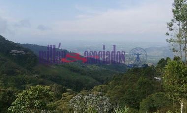 FINCA EN VENTA EN ALTO DEL NUDO/DOSQUEBRADAS