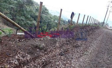FINCA EN VENTA EN ALTO DEL NUDO/DOSQUEBRADAS