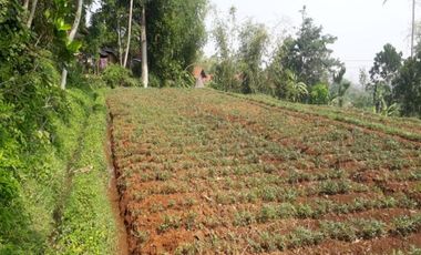 TANAH BANJARAN BANDUNG COCOK UNTUK VILLA DAN KEBUN