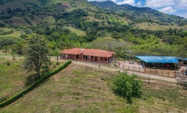 Vencambio Finca Sector Obando Valle del Cauca