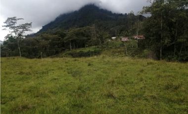 vendo buenas tierras en pasca, Cundinamarca