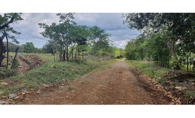 Vendo finca de 54 ha en Rovira, Chiriquí, ideal para ganadería!