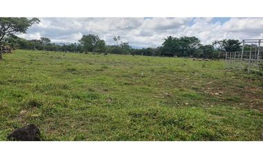 Vendo finca de 54 ha en Rovira, Chiriquí, ideal para ganadería!