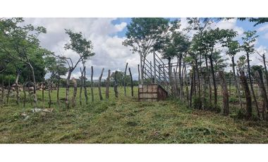 Vendo finca de 54 ha en Rovira, Chiriquí, ideal para ganadería!