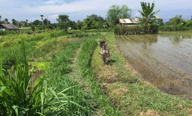 Dijual Tanah View Pantai Di Klungkung Bali