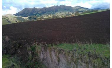 6.5 HECTAREAS EN VENTA EN CAYAMBE
