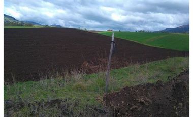 6.5 HECTAREAS EN VENTA EN CAYAMBE