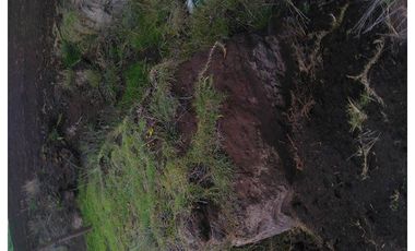 6.5 HECTAREAS EN VENTA EN CAYAMBE