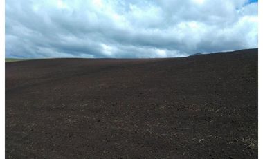 6.5 HECTAREAS EN VENTA EN CAYAMBE