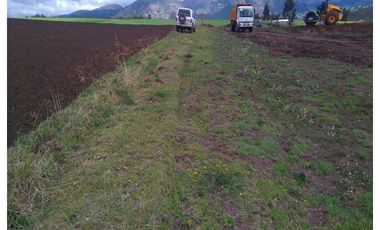 6.5 HECTAREAS EN VENTA EN CAYAMBE