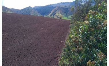 6.5 HECTAREAS EN VENTA EN CAYAMBE