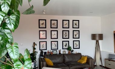 DEPARTAMENTO EN RENTA AMUEBLADO EN CHOLULA