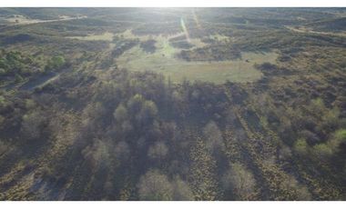 VENTA CAMPO 60 HAS LISTO Y EN PROCESO DE HACER LOTEO CERRADO