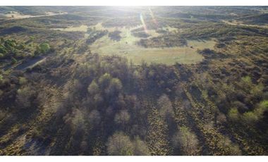 VENTA CAMPO 60 HAS LISTO Y EN PROCESO DE HACER LOTEO CERRADO