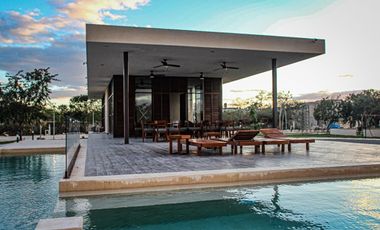 Terreno en venta Mérida Yucatán, Privada Plenum Cholul