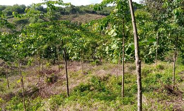 finca en venta en piojÓ. Cod V91026