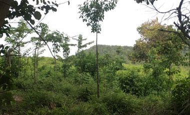 finca en venta en piojÓ. Cod V91026