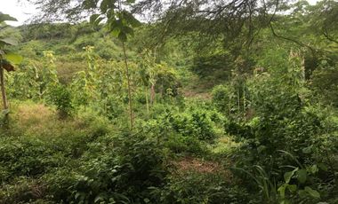 finca en venta en piojÓ. Cod V91026