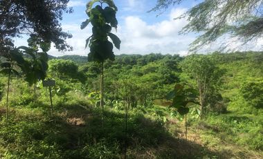 finca en venta en piojÓ. Cod V91026