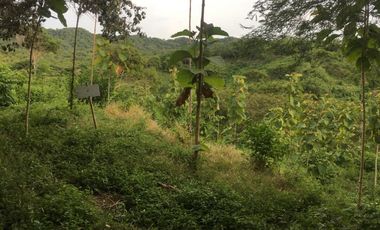 finca en venta en piojÓ. Cod V91026