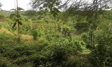 finca en venta en piojÓ. Cod V91026