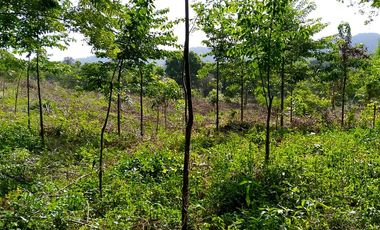 finca en venta en piojÓ. Cod V91026