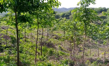 finca en venta en piojÓ. Cod V91026