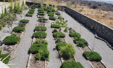 ALTOS JURIQUILLA, RENTA DEPTO AMUEBLADO, GARDEN TOWERS