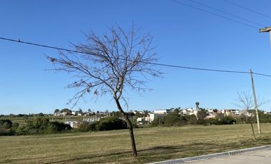 SOBRE AVENIDA EN INGRESO A ORO VERDE