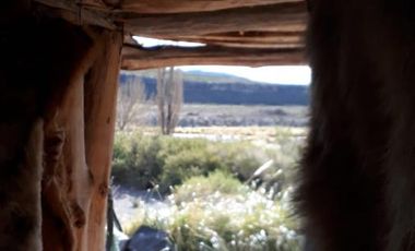 Campo 500 ha - Malargue- Mendoza -Ideal para proyecto turístico