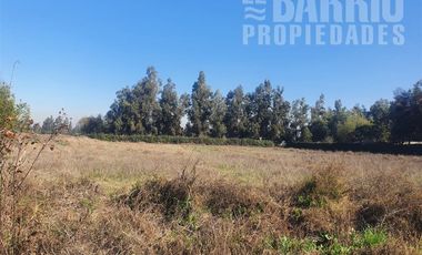 Sitio en Arriendo en Chicureo Centro
