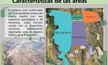 TERRENO EN VENTA EN VILLA GUERRERO