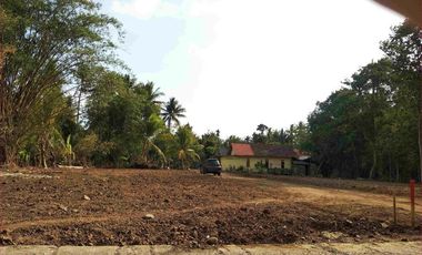 15 menit Bandara YIA Jogja: Kapling Tanah Harga Terjangkau Profit 30%