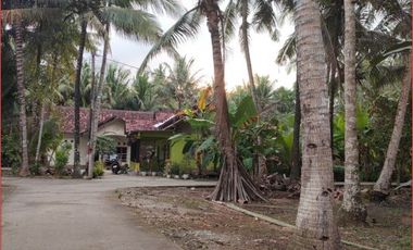 15 menit Bandara YIA Jogja: Kapling Tanah Harga Terjangkau Profit 30%
