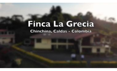 FINCA CAFETERA DE GRAN POTENCIAL EN CHINCHINA CALDAS