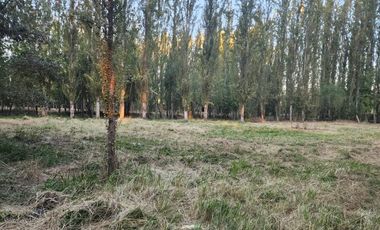 Terreno en Coinco