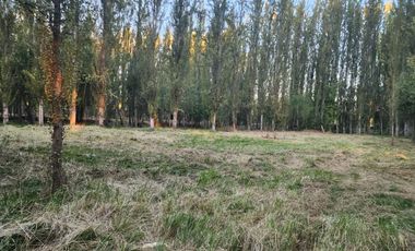 Terreno en Coinco
