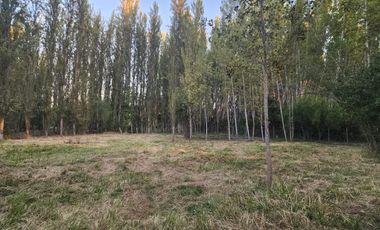Terreno en Coinco