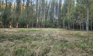 Terreno en Coinco
