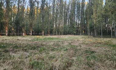 Terreno en Coinco