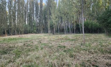 Terreno en Coinco