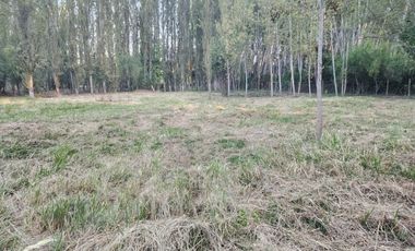 Terreno en Coinco