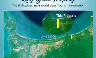 Beach Lot for sale in San Vicente Palawan